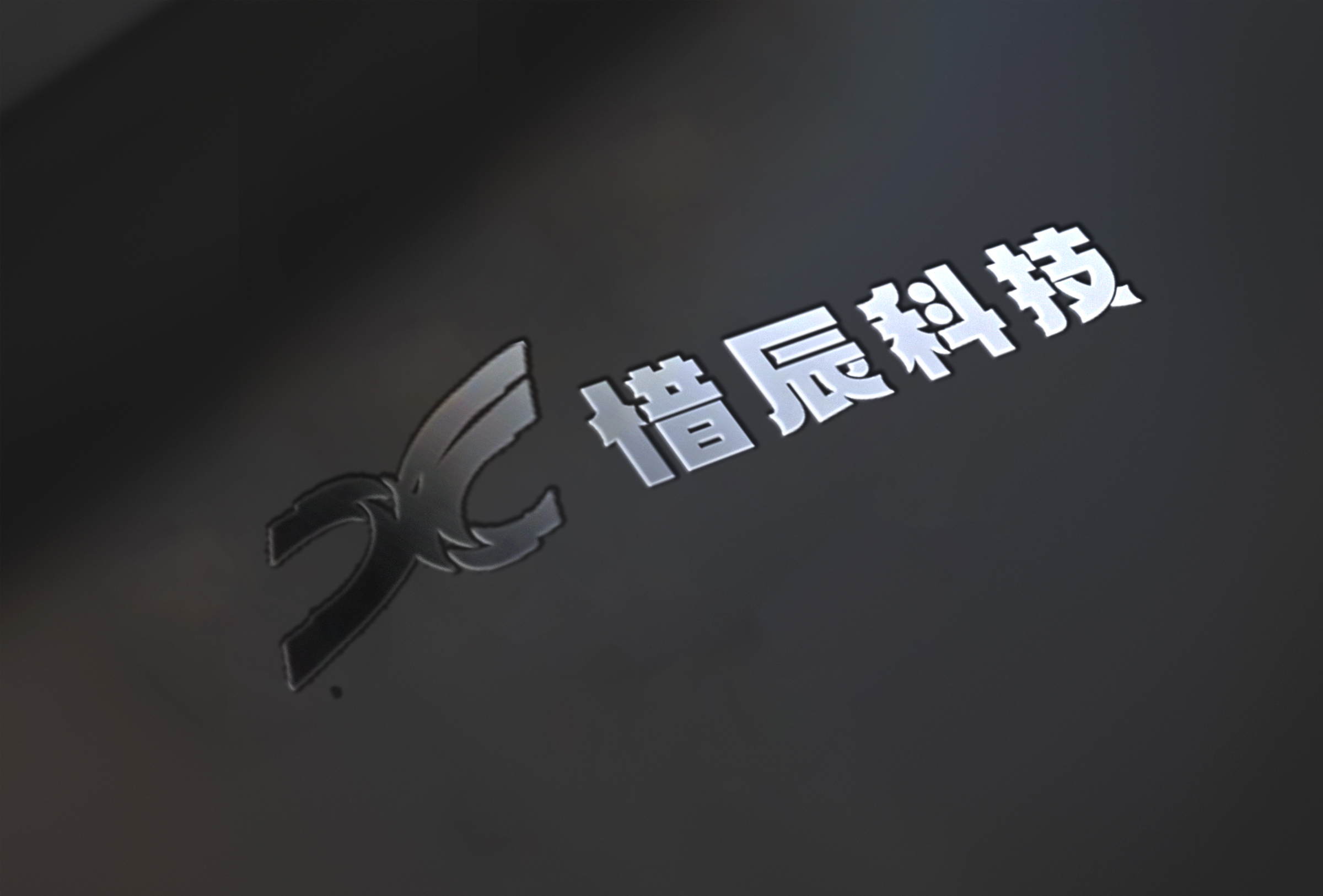 公司介绍